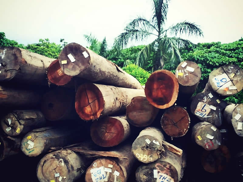 原木客製化訂材